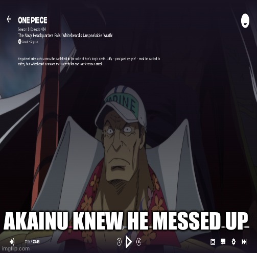 Don't mess with whitebeard's crew | AKAINU KNEW HE MESSED UP | image tagged in akainu's grave | made w/ Imgflip meme maker