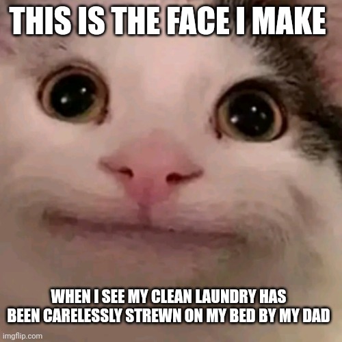 Don't friggin put my laundry on my friggin bed!!! | THIS IS THE FACE I MAKE; WHEN I SEE MY CLEAN LAUNDRY HAS BEEN CARELESSLY STREWN ON MY BED BY MY DAD | image tagged in beluga | made w/ Imgflip meme maker