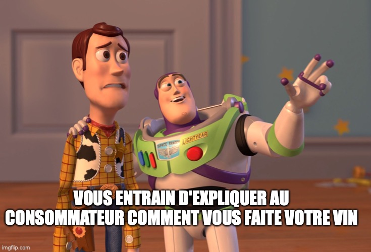 X, X Everywhere | VOUS ENTRAIN D'EXPLIQUER AU CONSOMMATEUR COMMENT VOUS FAITE VOTRE VIN | image tagged in memes,x x everywhere | made w/ Imgflip meme maker