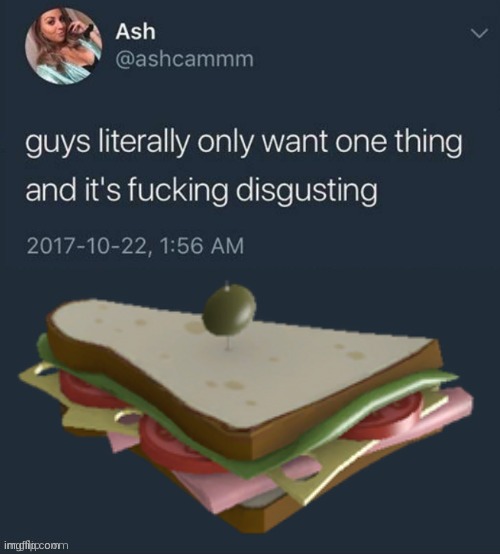 Or at least what I want | image tagged in guys literally only want one thing,make me a sandwich,woman | made w/ Imgflip meme maker