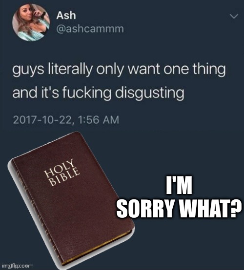 I'M SORRY WHAT? | image tagged in holy bible | made w/ Imgflip meme maker