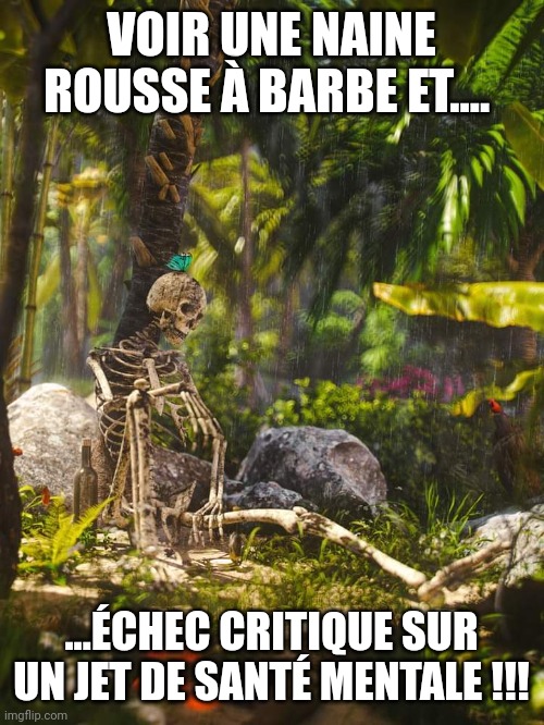 VOIR UNE NAINE ROUSSE À BARBE ET.... ...ÉCHEC CRITIQUE SUR UN JET DE SANTÉ MENTALE !!! | made w/ Imgflip meme maker
