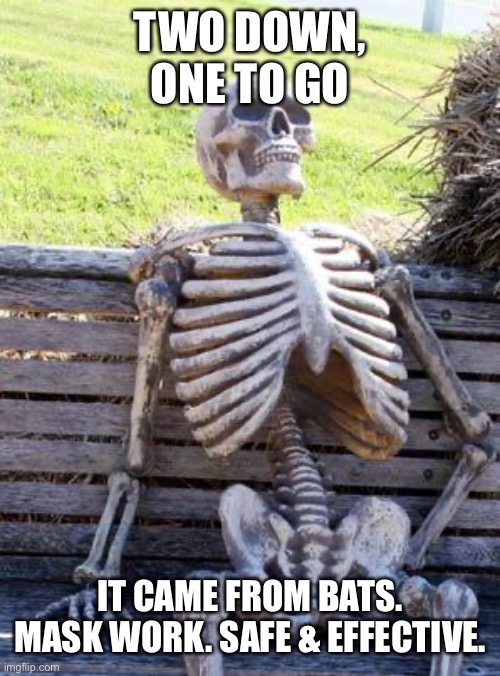 Waiting Skeleton Meme | TWO DOWN, ONE TO GO IT CAME FROM BATS. MASK WORK. SAFE & EFFECTIVE. | image tagged in memes,waiting skeleton | made w/ Imgflip meme maker