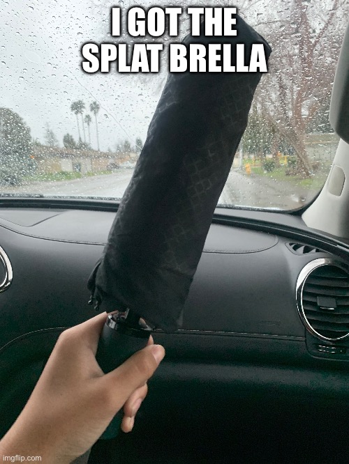 I GOT THE SPLAT BRELLA | image tagged in memes,splatoon | made w/ Imgflip meme maker