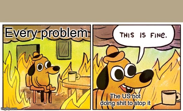 This Is Fine Meme | Every problem The US not doing shit to stop it | image tagged in memes,this is fine | made w/ Imgflip meme maker