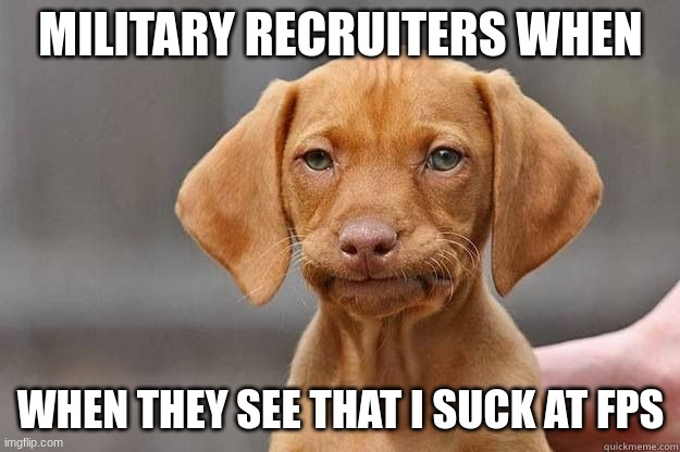 Disapointed Dog | MILITARY RECRUITERS WHEN WHEN THEY SEE THAT I SUCK AT FPS | image tagged in disapointed dog | made w/ Imgflip meme maker