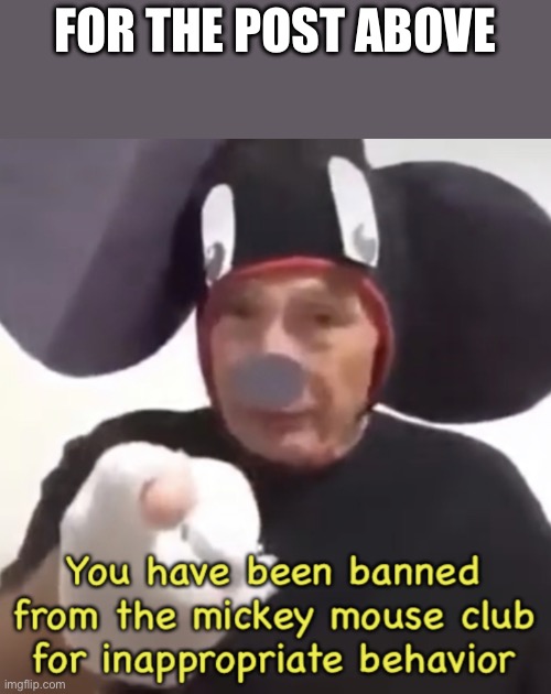Banned From The Mickey Mouse Club | FOR THE POST ABOVE | image tagged in banned from the mickey mouse club | made w/ Imgflip meme maker