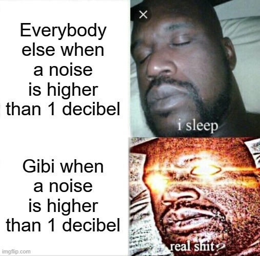 you have to whisper | Everybody else when a noise is higher than 1 decibel; Gibi when a noise is higher than 1 decibel | image tagged in memes,sleeping shaq,asmr | made w/ Imgflip meme maker