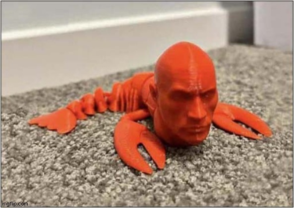It's A Rock Lobster ! | image tagged in the rock,lobster | made w/ Imgflip meme maker