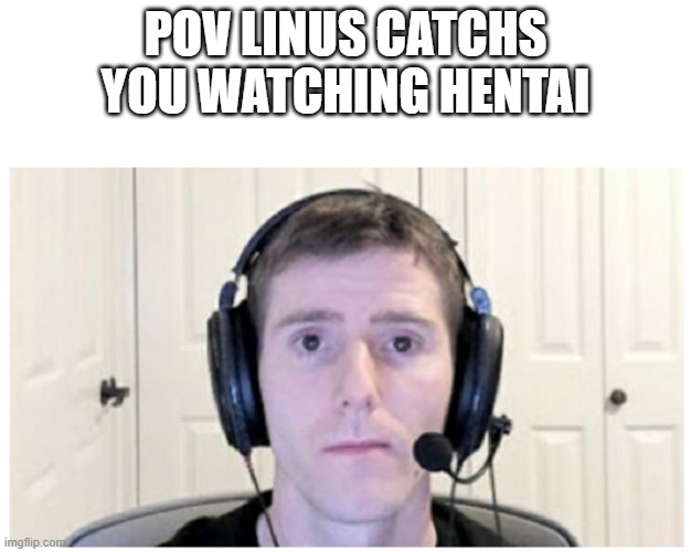 Sad Linus | POV LINUS CATCHS YOU WATCHING HENTAI | image tagged in sad linus | made w/ Imgflip meme maker