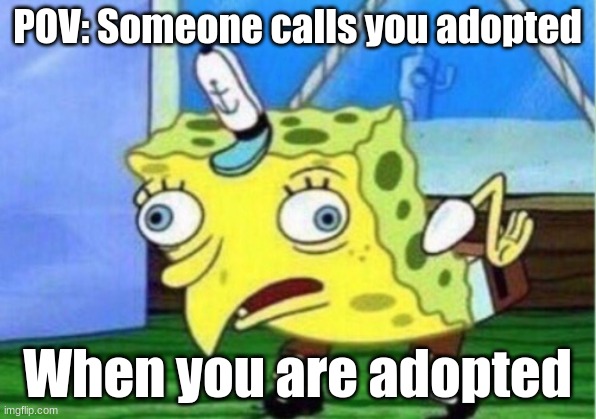 I am adopted | POV: Someone calls you adopted; When you are adopted | image tagged in memes,mocking spongebob | made w/ Imgflip meme maker