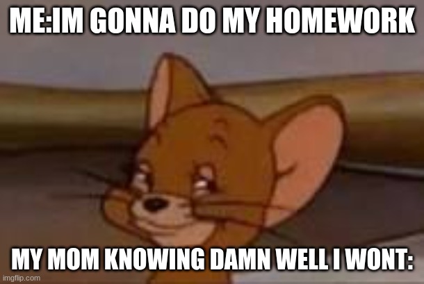 baby jerry | ME:IM GONNA DO MY HOMEWORK; MY MOM KNOWING DAMN WELL I WONT: | image tagged in memes,funny | made w/ Imgflip meme maker