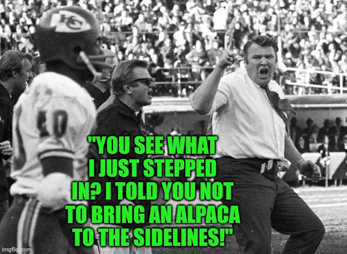 You can't help but wonder what people were really saying in famous photos | "YOU SEE WHAT I JUST STEPPED IN? I TOLD YOU NOT TO BRING AN ALPACA TO THE SIDELINES!" | image tagged in photos,quotes,what if | made w/ Imgflip meme maker
