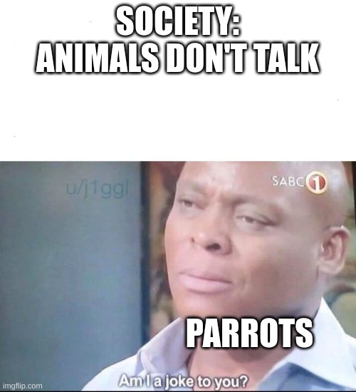 am I a joke to you | SOCIETY: ANIMALS DON'T TALK; PARROTS | image tagged in am i a joke to you | made w/ Imgflip meme maker