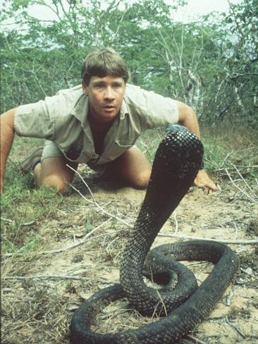 Steve irwin Blank Meme Template