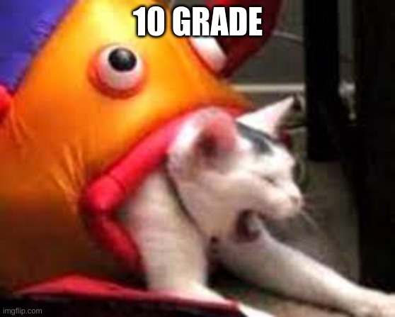 10 GRADE | made w/ Imgflip meme maker