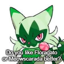 Floragato | Do you like Floragato or Meowscarada better? | image tagged in floragato | made w/ Imgflip meme maker