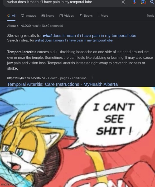 image tagged in i can't see shit tails | made w/ Imgflip meme maker