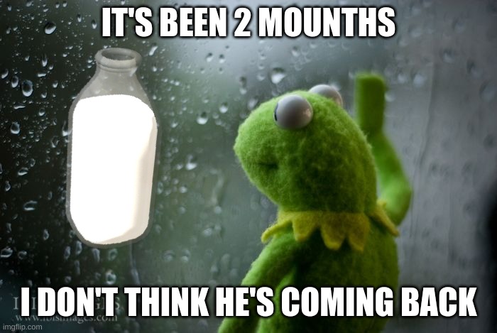 kermit window | IT'S BEEN 2 MOUNTHS; I DON'T THINK HE'S COMING BACK | image tagged in kermit window | made w/ Imgflip meme maker