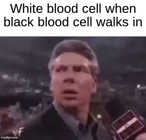 Not racist I swear | White blood cell when black blood cell walks in | image tagged in x when x walks in,memes,funny memes,funny meme,funny | made w/ Imgflip meme maker