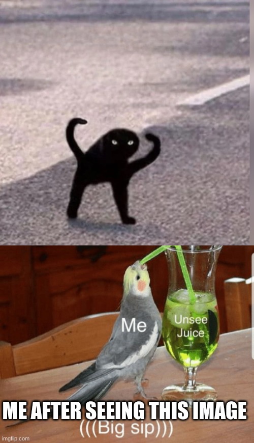 AhHHhhhHHHh mY EyeS | ME AFTER SEEING THIS IMAGE | image tagged in cursed cat,unsee juice | made w/ Imgflip meme maker