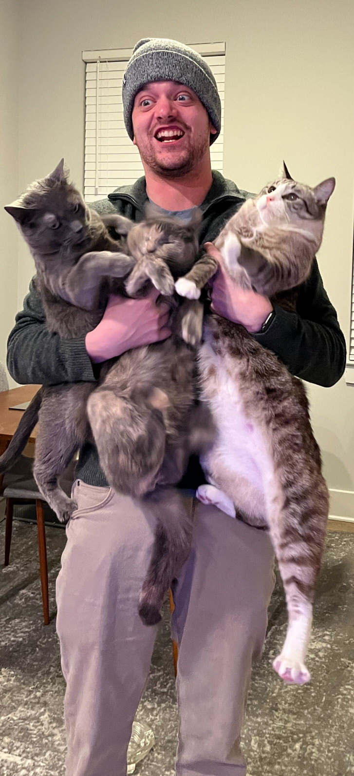 High Quality Herder of Cats Blank Meme Template