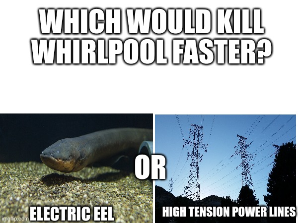 WHICH WOULD KILL WHIRLPOOL FASTER? ELECTRIC EEL OR HIGH TENSION POWER LINES | made w/ Imgflip meme maker