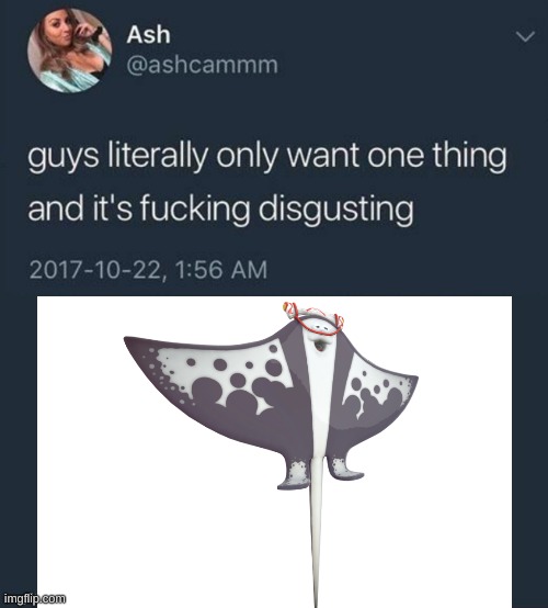 the | made w/ Imgflip meme maker
