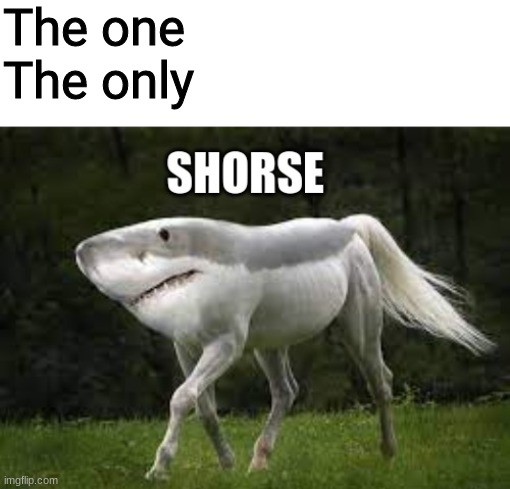 The one

The only | image tagged in memes,funny,cursed image | made w/ Imgflip meme maker