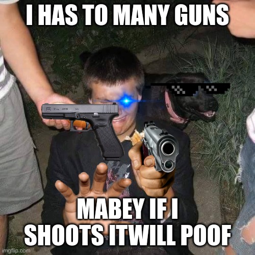 guns | I HAS TO MANY GUNS; MABEY IF I SHOOTS ITWILL POOF | image tagged in too many hotdogs | made w/ Imgflip meme maker