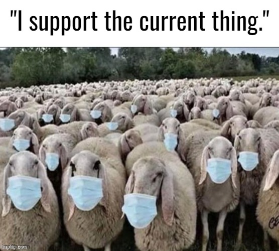 Sign of the Sheeple | "I support the current thing." | image tagged in sign of the sheeple | made w/ Imgflip meme maker