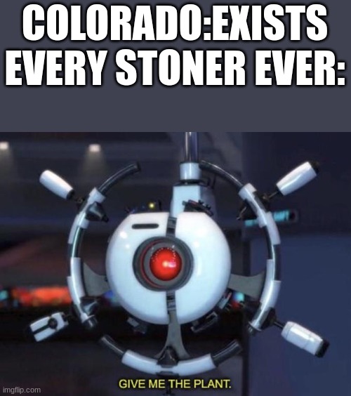 n | COLORADO:EXISTS
EVERY STONER EVER: | image tagged in give me the plant | made w/ Imgflip meme maker