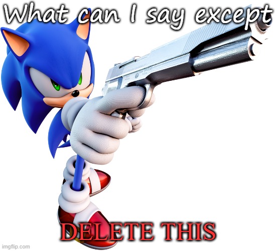DELETE THIS | What can I say except; DELETE THIS | image tagged in sonic with a gun | made w/ Imgflip meme maker