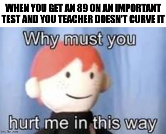 Hate it when this happens | WHEN YOU GET AN 89 ON AN IMPORTANT TEST AND YOU TEACHER DOESN'T CURVE IT | image tagged in why must you hurt me in this way | made w/ Imgflip meme maker