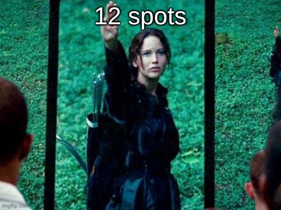 Hunger Games 2 | 12 spots | image tagged in hunger games 2 | made w/ Imgflip meme maker