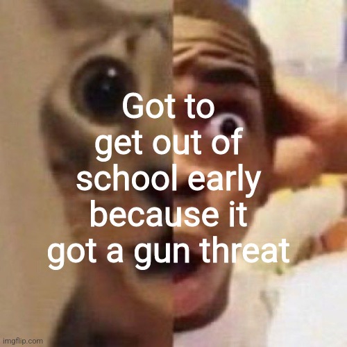 This is the second 5th time this year | Got to get out of school early because it got a gun threat | image tagged in msmg,america | made w/ Imgflip meme maker