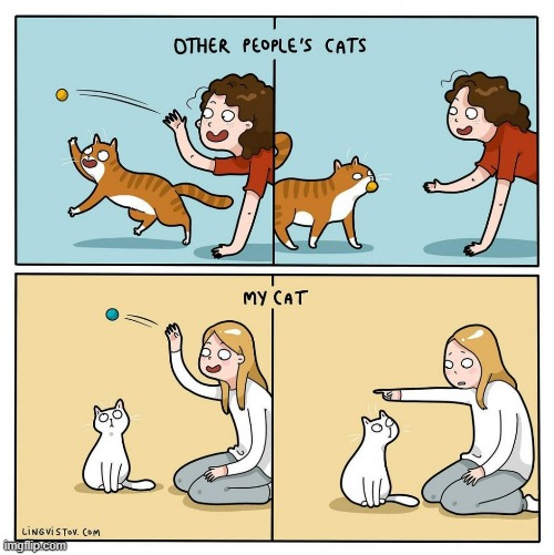 A Cat Lady's Way Of Thinking | image tagged in memes,comics,cat lady,playing,cats,no this isn't how you're supposed to play the game | made w/ Imgflip meme maker