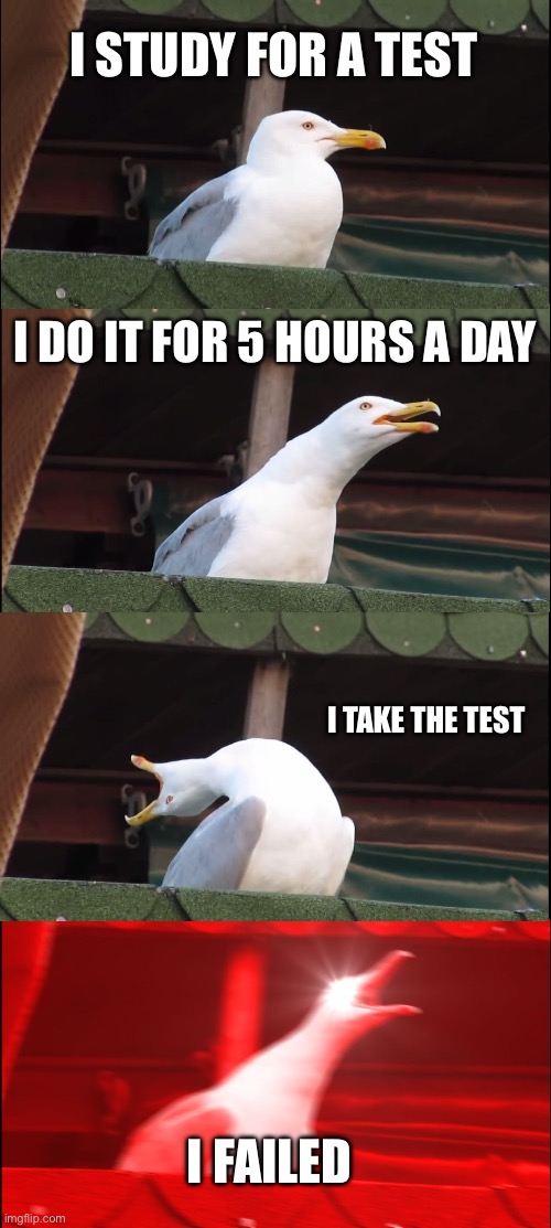 Inhaling Seagull Meme | I STUDY FOR A TEST; I DO IT FOR 5 HOURS A DAY; I TAKE THE TEST; I FAILED | image tagged in memes,inhaling seagull | made w/ Imgflip meme maker