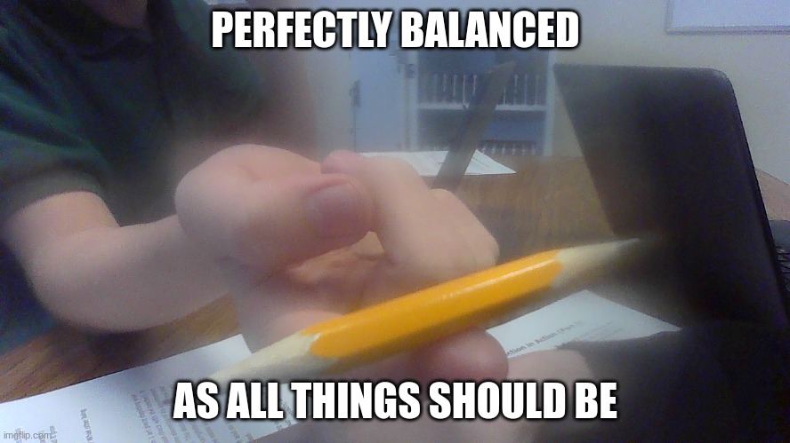 Perfectly Balanced | PERFECTLY BALANCED; AS ALL THINGS SHOULD BE | image tagged in balance | made w/ Imgflip meme maker