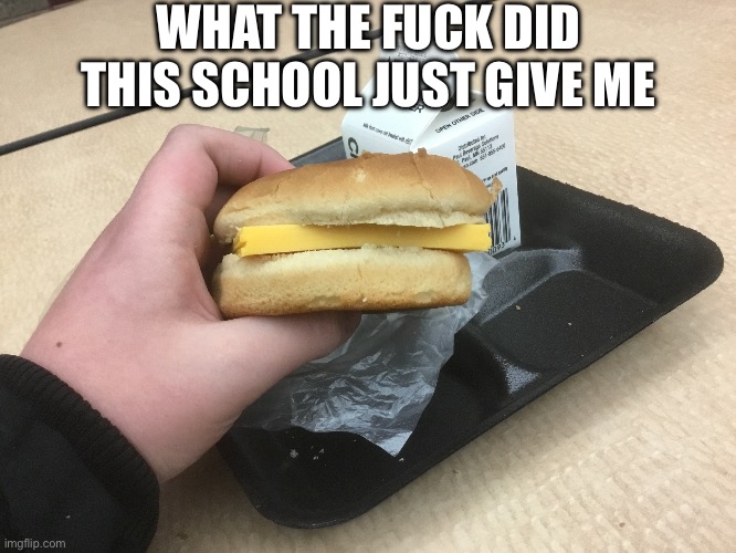 WHAT THE FUСK DID THIS SCHOOL JUST GIVE ME | made w/ Imgflip meme maker