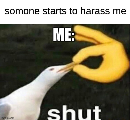 SHUT | somone starts to harass me; ME: | image tagged in shut | made w/ Imgflip meme maker