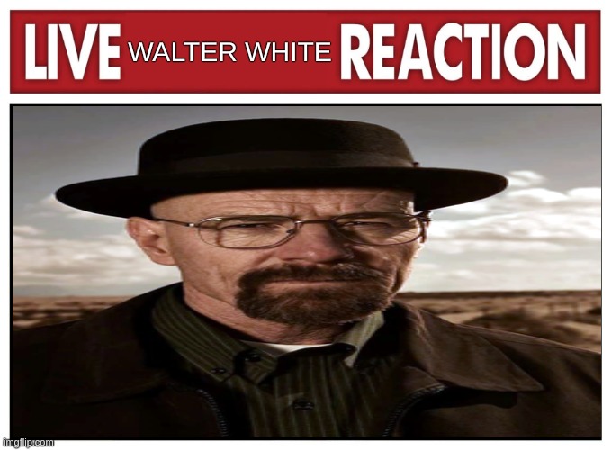 walter white | WALTER WHITE | image tagged in walter white,memes | made w/ Imgflip meme maker