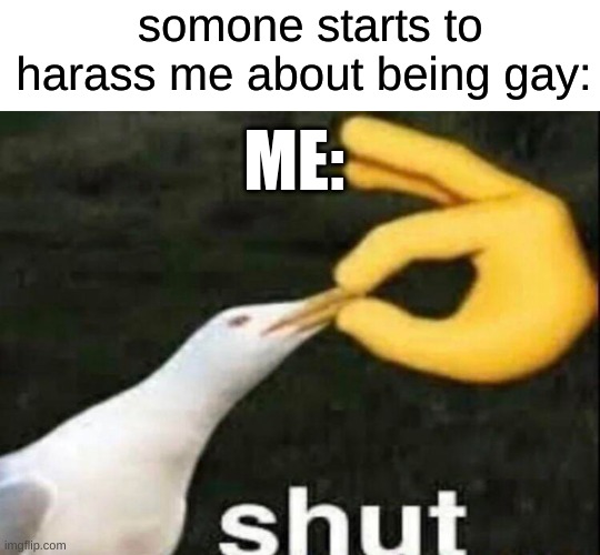 SHUT | somone starts to harass me about being gay:; ME: | image tagged in shut,shut up,shut up now | made w/ Imgflip meme maker