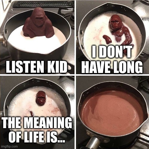 Not my proudest | LISTEN KID; I DON’T HAVE LONG; THE MEANING OF LIFE IS… | image tagged in chocolate gorilla | made w/ Imgflip meme maker