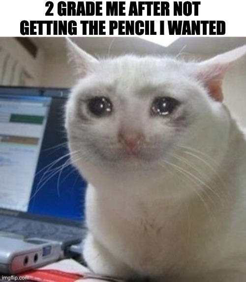sad | 2 GRADE ME AFTER NOT GETTING THE PENCIL I WANTED | image tagged in crying cat,sad | made w/ Imgflip meme maker
