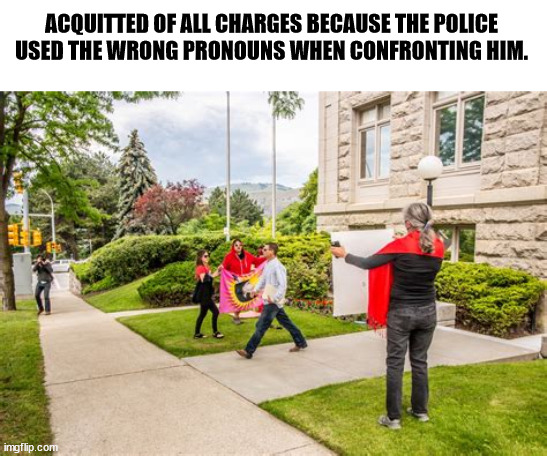 ProNoun | ACQUITTED OF ALL CHARGES BECAUSE THE POLICE USED THE WRONG PRONOUNS WHEN CONFRONTING HIM. | image tagged in aquitted,pronoun | made w/ Imgflip meme maker