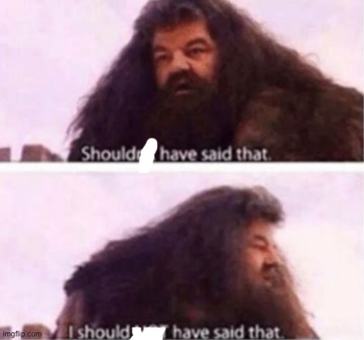 Shouldn't have said that | image tagged in shouldn't have said that | made w/ Imgflip meme maker