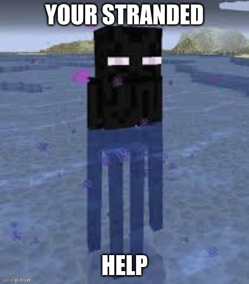 funny meme | YOUR STRANDED; HELP | image tagged in cool,funny,memes | made w/ Imgflip meme maker