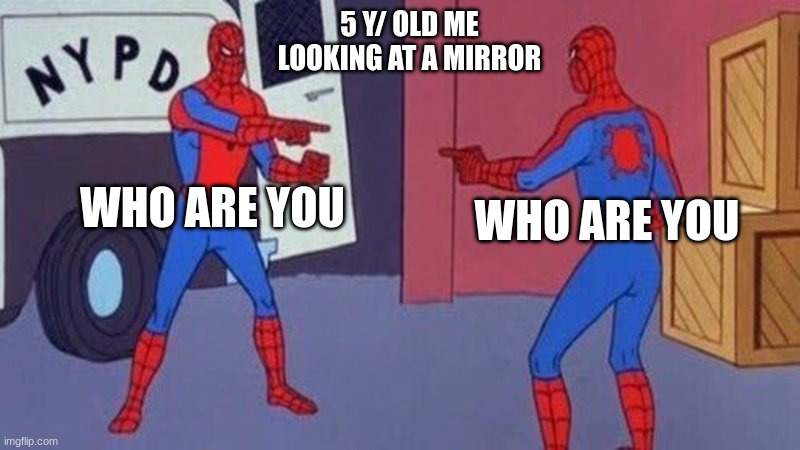 seriously WHO, ARE, YOU | 5 Y/ OLD ME LOOKING AT A MIRROR; WHO ARE YOU; WHO ARE YOU | image tagged in spiderman pointing at spiderman | made w/ Imgflip meme maker