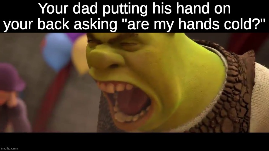 fr though | Your dad putting his hand on your back asking "are my hands cold?" | image tagged in funny,shrek,shrok screaming,dad | made w/ Imgflip meme maker